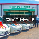 扁桃的用途十分广泛(图2) 扁桃的用途十分广泛(图2)