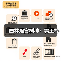 园林观赏树种:霸王棕(图2) 园林观赏树种:霸王棕(图2)