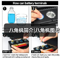 八角枫简介|八角枫图片(图3) 八角枫简介|八角枫图片(图3)