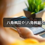 八角枫简介|八角枫图片(图4) 八角枫简介|八角枫图片(图4)