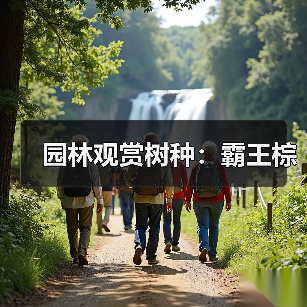 园林观赏树种:霸王棕(图1) 园林观赏树种:霸王棕(图1)