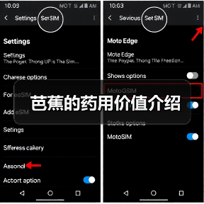 芭蕉的药用价值介绍(图2)