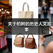 关于柏树的历史人文故事(图3)