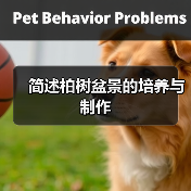 简述柏树盆景的培养与制作(图4)