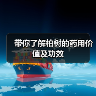 带你了解柏树的药用价值及功效(图4)