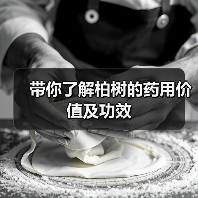 带你了解柏树的药用价值及功效