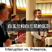 白玉兰和白兰花的区别(图4)