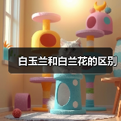 白玉兰和白兰花的区别(图3)