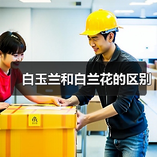 白玉兰和白兰花的区别(图2)
