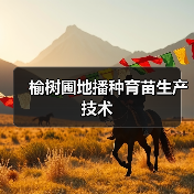 榆树圃地播种育苗生产技术