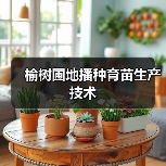 榆树圃地播种育苗生产技术(图3)