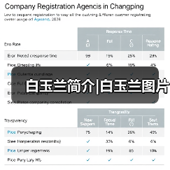 白玉兰简介|白玉兰图片(图3)