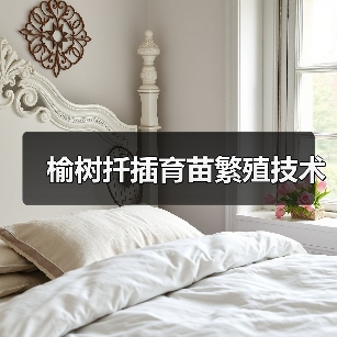 榆树扦插育苗繁殖技术(图4)
