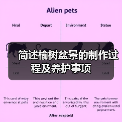 简述榆树盆景的制作过程及养护事项