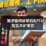简述榆树盆景的制作过程及养护事项(图2)
