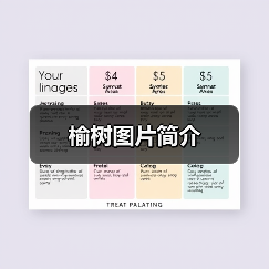 榆树图片简介(图4) 榆树图片简介(图4)