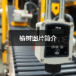 榆树图片简介(图1) 榆树图片简介(图1)