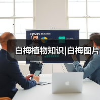 白梅植物知识|白梅图片(图4)