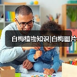 白梅植物知识|白梅图片