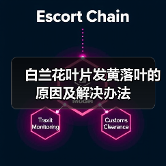 白兰花叶片发黄落叶的原因及解决办法