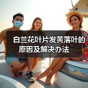 白兰花叶片发黄落叶的原因及解决办法(图3)