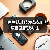 白兰花叶片发黄落叶的原因及解决办法(图4)