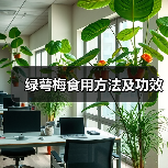 绿萼梅食用方法及功效(图3)