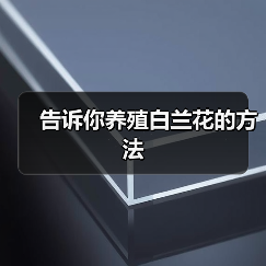 告诉你养殖白兰花的方法