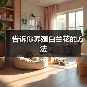 告诉你养殖白兰花的方法(图2)