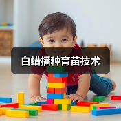 白蜡播种育苗技术(图2) 白蜡播种育苗技术(图2)