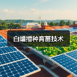 白蜡播种育苗技术(图1) 白蜡播种育苗技术(图1)