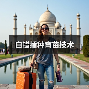 白蜡播种育苗技术(图3) 白蜡播种育苗技术(图3)