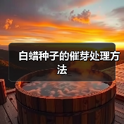 白蜡种子的催芽处理方法(图4)