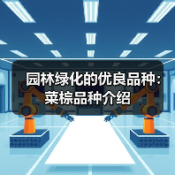 园林绿化的优良品种：菜棕品种介绍(图4)