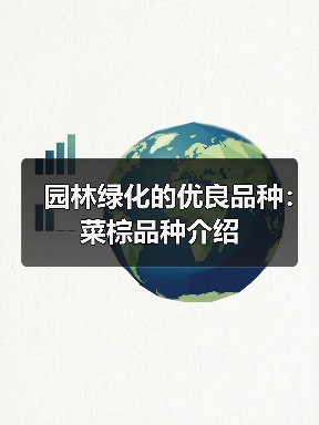 园林绿化的优良品种：菜棕品种介绍