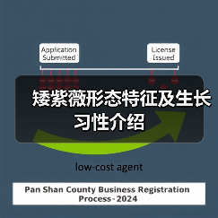 矮紫薇形态特征及生长习性介绍(图4) 矮紫薇形态特征及生长习性介绍(图4)