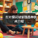 红叶复花矮紫薇品种优点介绍(图4)