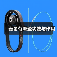 麦冬有哪些功效与作用(图3)