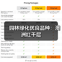 园林绿化优良品种：澳洲红千层(图3)