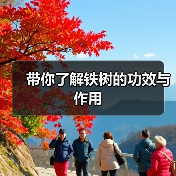 带你了解铁树的功效与作用(图3)