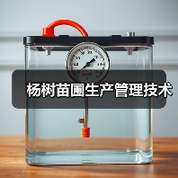 杨树苗圃生产管理技术