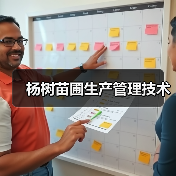 杨树苗圃生产管理技术(图2)