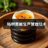 杨树苗圃生产管理技术(图3)