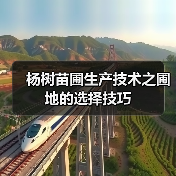 杨树苗圃生产技术之圃地的选择技巧(图4)