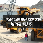 杨树苗圃生产技术之圃地的选择技巧(图3)