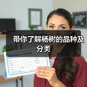 带你了解杨树的品种及分类(图4)