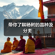 带你了解杨树的品种及分类(图2)