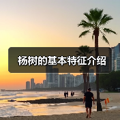 杨树的基本特征介绍(图2)