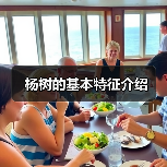 杨树的基本特征介绍(图4)
