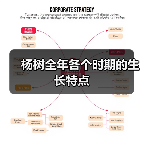 杨树全年各个时期的生长特点(图2)